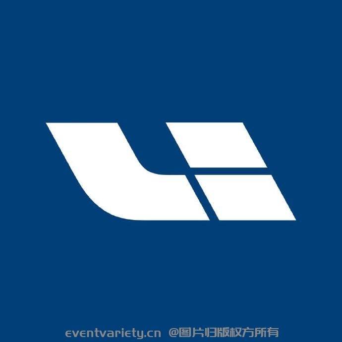 图片6